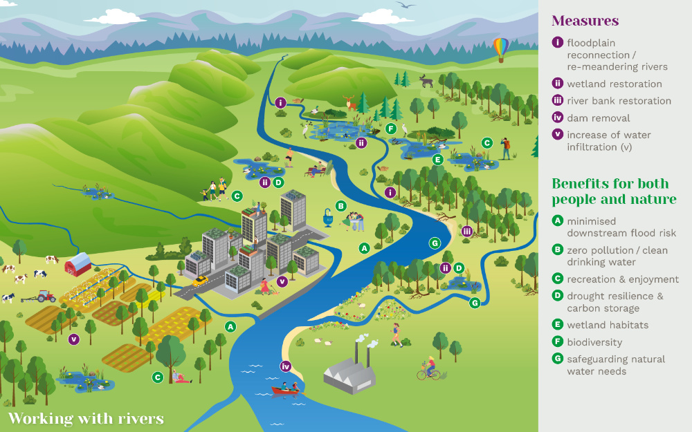 infographic cluster after